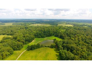 TRACT 39 - ILLINOIS LAND AUCTION - 4,810+/- ACRES OFFERED IN 85 TRACTS IN FRANKLIN, WILLIAMSON, HAMILTON & SALINE COUNTIES, ILLINOIS